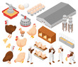 Poultry Farm Isometric Set