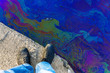 © Dmitry - Oil spill on the surface of the river. Legs of a man on a background of colorful water. The concept of the diversion of hazardous substances into nature