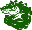 The mascot (crocodile) alligator shows the muscle