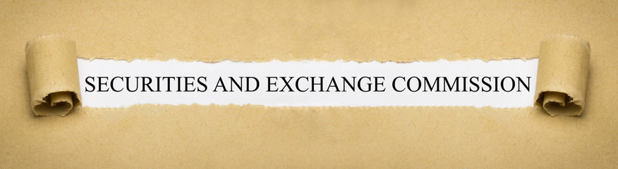 Canvas Print - Securities and Exchange Commission