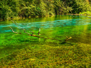 Poster - Forest lake. The Stunning Lakes of Albania.