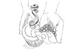 Grinding of coffee beans using a manual mechanical coffee grinder. Black-and-white hand-drawn animation