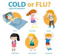 Canvas Print - Medical infographic of cold or flu symptoms