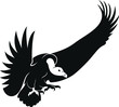 Black Vulture Flying Down vector