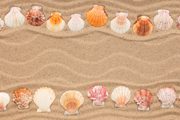 Wall Mural - Two rows of seashells lying on the sand. Beautiful frame made of seashells with place for text.