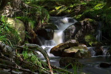 Mystical Waterfall