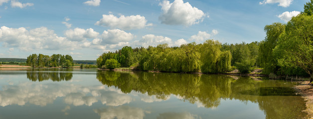 panorama mirrored trees and blue sky with white clouds on lake s