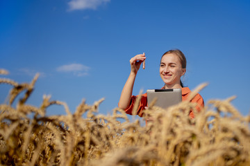 Farmer with tablet and test tube researching plant in wheat field.Agriculture and harvesting concept. Agro business.