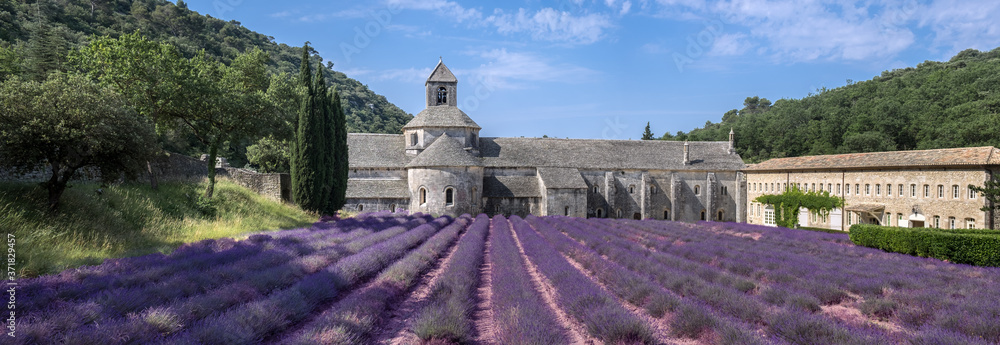 Large panoramic view of lavender field at ancient monastery Abbey of Senanque. Vaucluse, Provence region. France - obrazy, fototapety, plakaty 