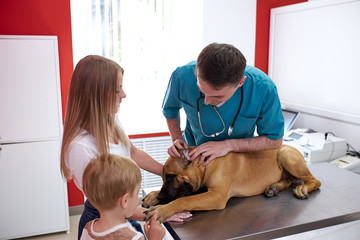 friendly woma and child came to the vet with a dog, they want the vet to cure their beloved dog, exa