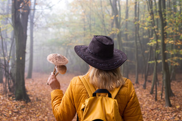 Wall Mural - hiking woman holding parasol mushroom during walk on footpath in foggy forest. female hiker with cow
