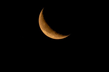 Waning crescent moon rising in the early dawn.