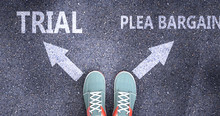 Trial And Plea Bargain As Different Choices In Life - Pictured As Words Trial, Plea Bargain On A Road To Symbolize Making Decision And Picking Either One As An Option, 3d Illustration