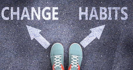 Wall Mural - Change and habits as different choices in life - pictured as words Change, habits on a road to symbolize making decision and picking either Change or habits as an option, 3d illustration