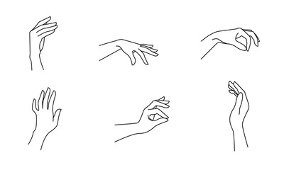 Woman's hand in line art style. Female hands different gestures vector illustration