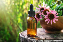 Dropper Bottle Of Echinacea Tincture Or Essential Oil , Wooden Mortar Of Coneflowers Outdors. Alternative Medicine.