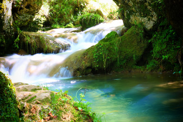 Canvas Print - Mountain stream among the mossy stones