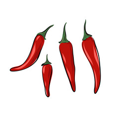 Vector isolated chili pepper on a white background. Illustration of a set of spices. Hand drawn sketch style. Spicy red vegetable. Mexican and Asian cuisine.