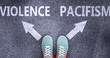 Violence and pacifism as different choices in life - pictured as words Violence, pacifism on a road to symbolize making decision and picking either Violence or pacifism as an option, 3d illustration