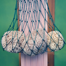 Sea Sponges In A Fishing Net, Close-up