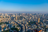 Fototapeta Nowy Jork - 東京都港区六本木の高層ビルの展望台から見た夕方の東京の都市景観