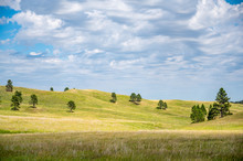Open Grassland Prairie At Custer State Park In South Dakota, USA