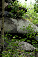 Canvas Print - old stone wall