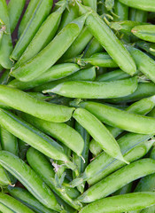 Sticker - fresh green peas on wooden surface