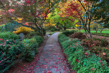 Japanese Garden Bright Autumn Colors. Lithia Park, Ashland, Oregon

