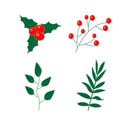 Wall Mural - christmas holly berry vector illustration