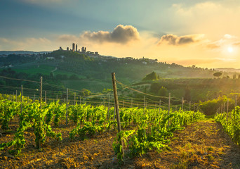 Wall Mural - San Gimignano panoramic medieval town towers skyline and vineyards. Tuscany, Italy