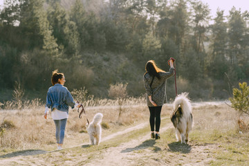 Wall Mural - Women in a spring forest. Girls with cute dogs. Stylish friends walks.