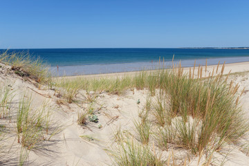 Wall Mural - Sand dunes of the Pen-Bron naturist beach in Loire Atlantique coast