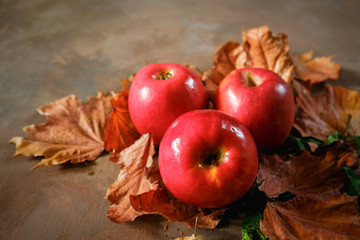 Autumn fruits background. Delicious red apples and maple leaves.