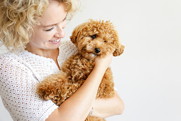 Adorable toy poodle puppy in arms of its loving owner. Small adorable doggy with funny curly fur with adult woman. Close up, copy space.