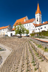 Wall Mural - Town Vineyard Znojmo, South Moravia Czech Republic