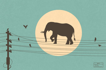 Poster - elephant walks on power line. isolated silhouette of big animal and birds on electrical wires. yello