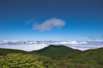 Canvas Print - Wonderful and curious sea of clouds at beautiful mountain landscape.