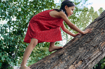 Wall Mural - Cheerful little girl climbing on the big tree exploring the nature. Happy child playing in the park. Playful kid having fun in the forest on a summer day.