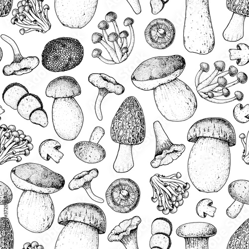 Dekoracja na wymiar  wzor-grzyby-recznie-rysowane-szkic-rozne-grzyby-recznie-rysowane-ilustracji-wektorowych