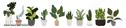 Fotomural Set of hygge vector illustration plants in pots stickers, patches, pins collection etc