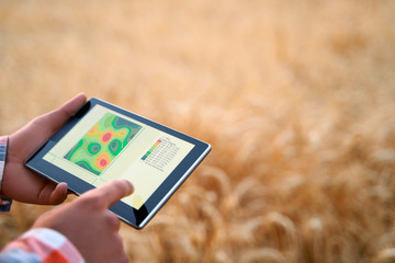 Precision farming. Farmer hands hold tablet using online data management software, differential fertilizer application maps. Agronomist works with touch screen to control, analyse agriculture business