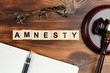 The concept of amnesty in court cases