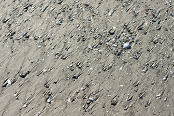 Wall Mural - Sand on the coast