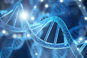Wall Mural - dna.