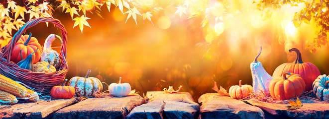 Wall Mural - harvest - pumpkins and corncobs on wooden table in autumn garden