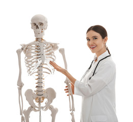 Poster - Female orthopedist with human skeleton model on white background