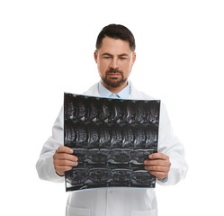 Poster - Orthopedist holding X-ray picture on white background