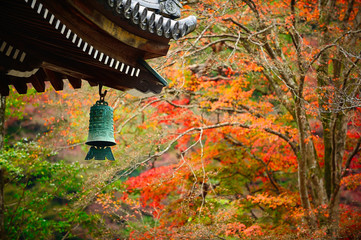 Wall Mural - the eaves of the temple roof have rust-green bells, the background of the garden in autumn, the tree