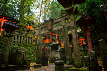 Wall Mural - old shrine in the forest in autumn season, the moss green makes it look fresh and moist. the atmosph